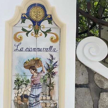 B&B La Ciammurrella 阿纳卡普里 外观 照片